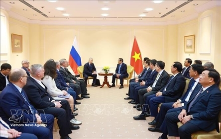 PM meets leaders of Russia - Vietnam Friendship Association, Russian War Veterans
